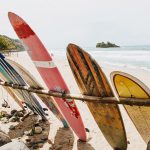 Principais pranchas de surf: por que todo surfista precisa